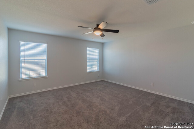 Image 25 of 36 For 14859 Wild Hog