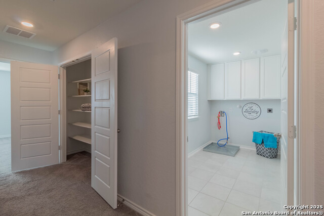 Image 27 of 36 For 14859 Wild Hog