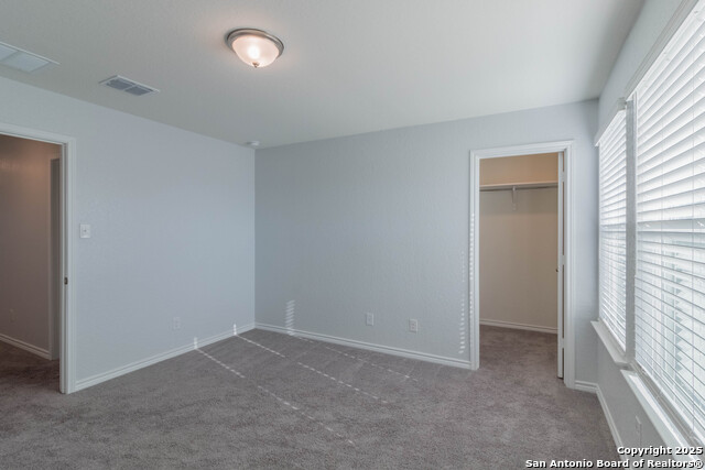 Image 28 of 36 For 14859 Wild Hog