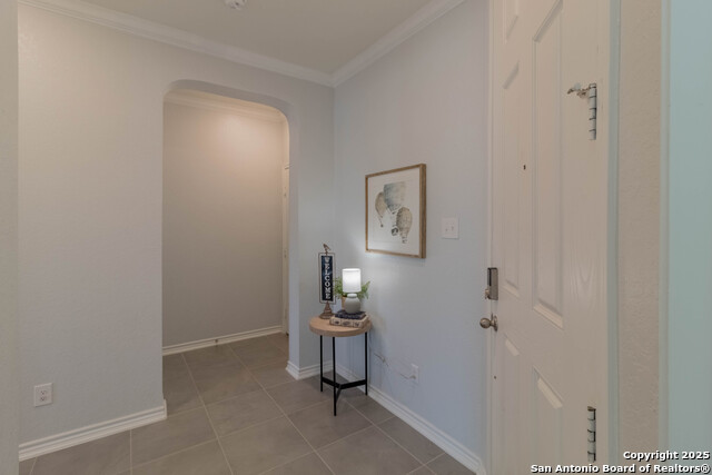 Image 3 of 36 For 14859 Wild Hog