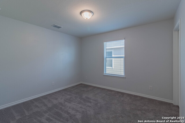 Image 31 of 36 For 14859 Wild Hog