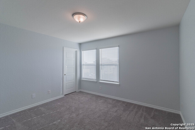 Image 32 of 36 For 14859 Wild Hog