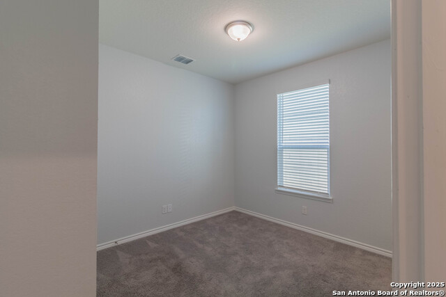 Image 4 of 36 For 14859 Wild Hog