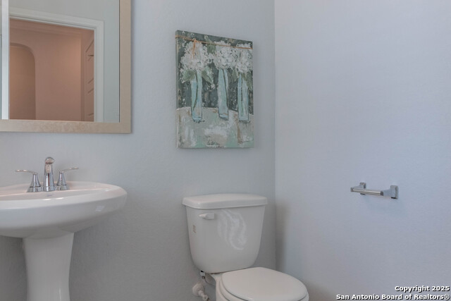 Image 7 of 36 For 14859 Wild Hog