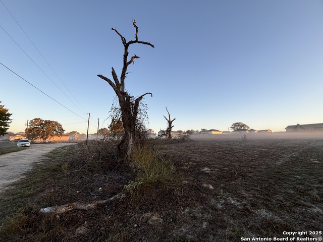 Image 19 of 23 For 410 Shady  