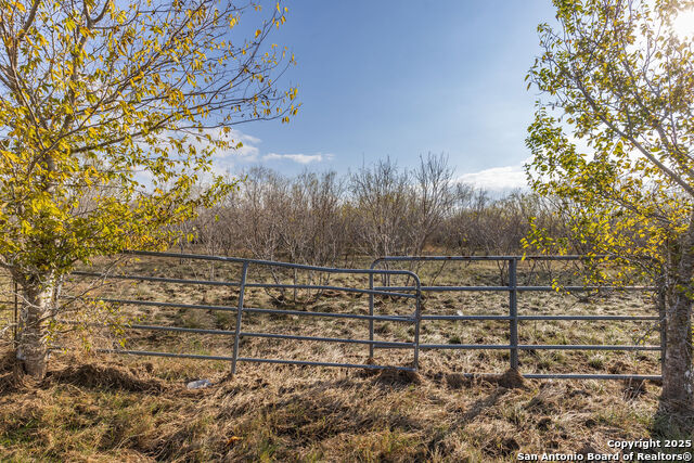 Image 10 of 11 For 000 Gin