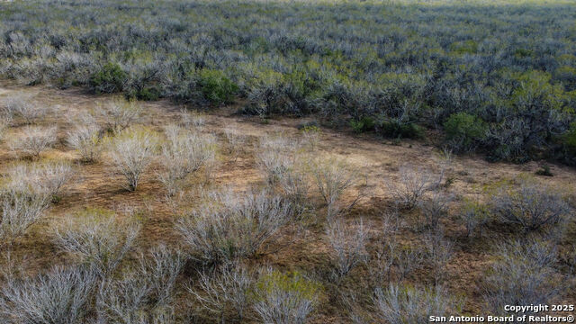 Image 4 of 11 For 000 Gin