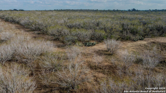 Image 5 of 11 For 000 Gin