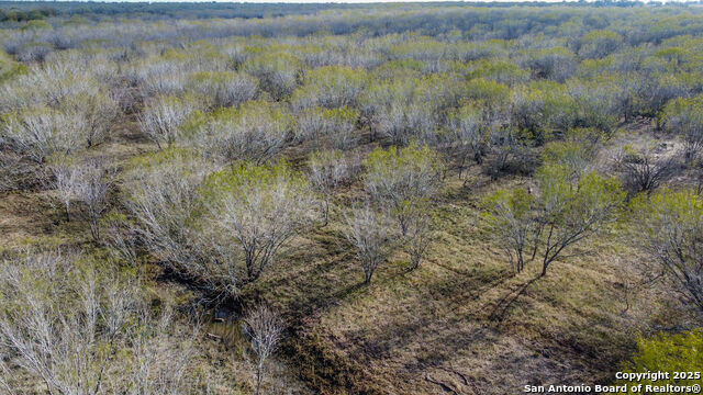 Image 6 of 11 For 000 Gin