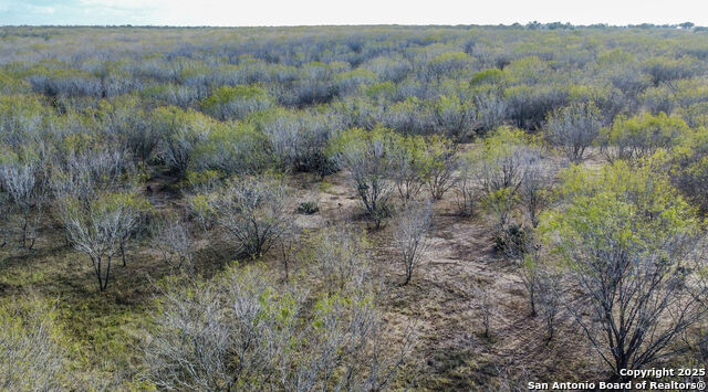 Image 7 of 11 For 000 Gin