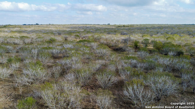 Image 9 of 11 For 000 Gin