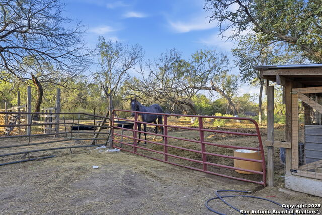 Image 4 of 61 For 247 Covey  