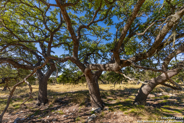 Image 11 of 25 For 000 Cattlemans Crossing Dr