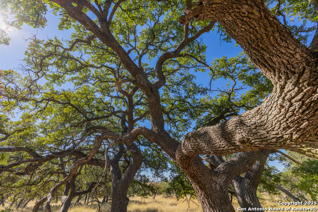 Image 12 of 25 For 000 Cattlemans Crossing Dr