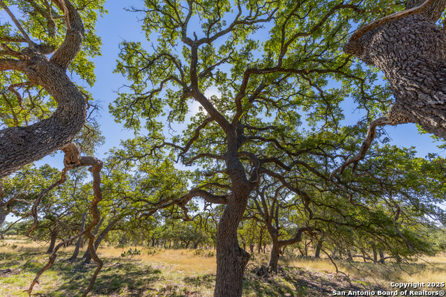 Image 14 of 25 For 000 Cattlemans Crossing Dr