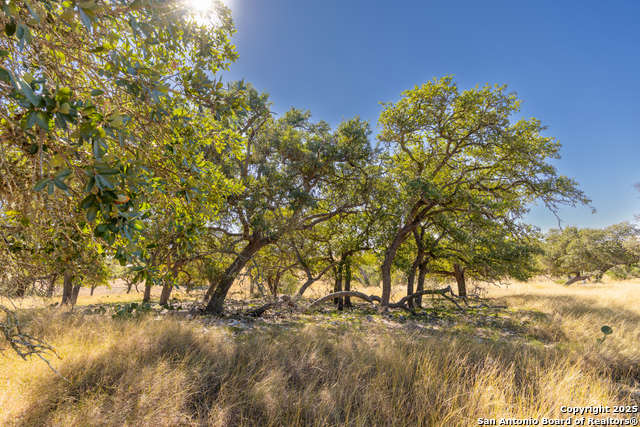 Image 15 of 25 For 000 Cattlemans Crossing Dr