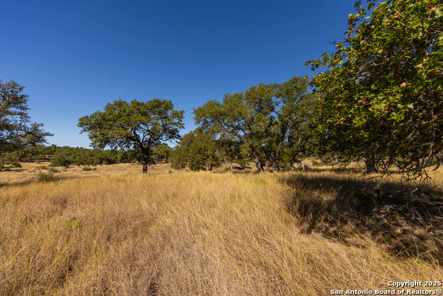 Image 17 of 25 For 000 Cattlemans Crossing Dr