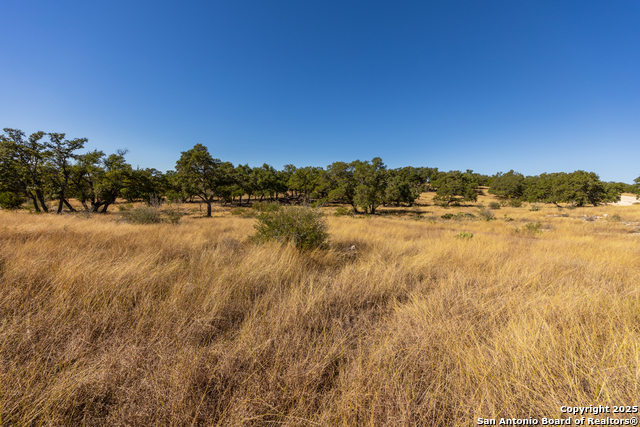 Image 18 of 25 For 000 Cattlemans Crossing Dr
