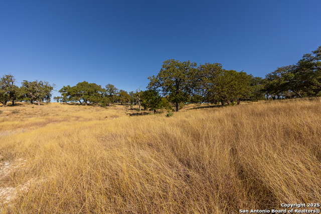 Image 19 of 25 For 000 Cattlemans Crossing Dr