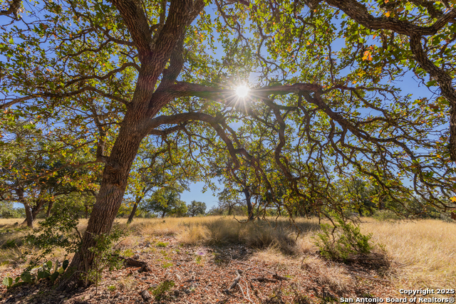 Image 20 of 25 For 000 Cattlemans Crossing Dr