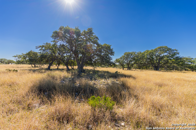Image 4 of 25 For 000 Cattlemans Crossing Dr