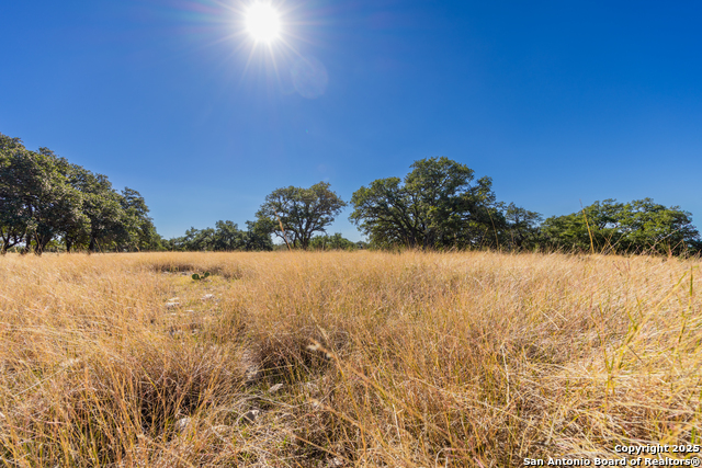 Image 5 of 25 For 000 Cattlemans Crossing Dr