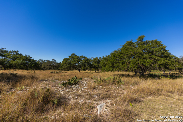 Image 7 of 25 For 000 Cattlemans Crossing Dr
