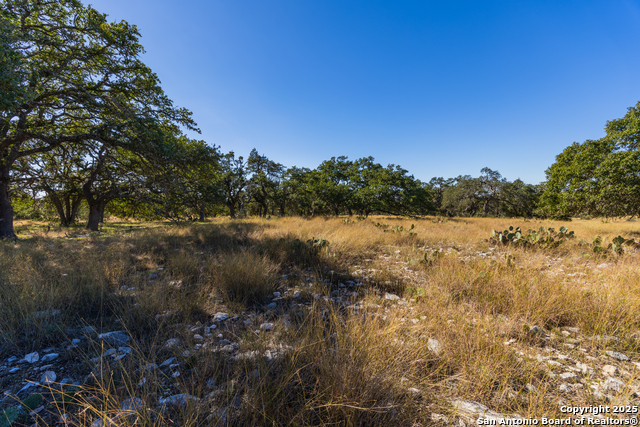 Image 8 of 25 For 000 Cattlemans Crossing Dr