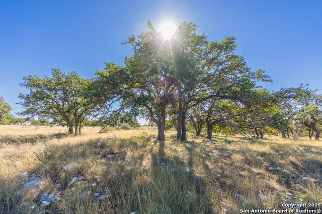 Image 9 of 25 For 000 Cattlemans Crossing Dr