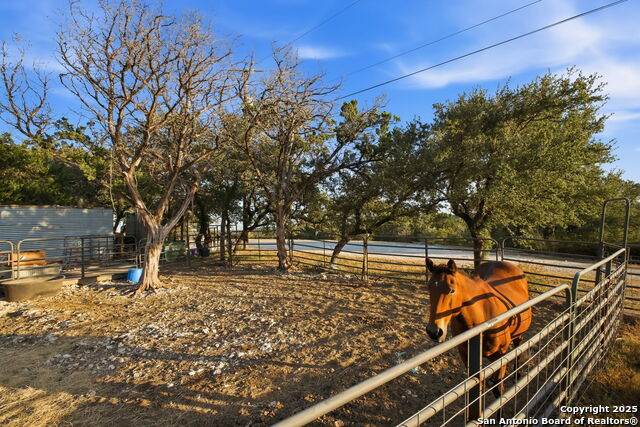 Image 31 of 51 For 18668 Bandera