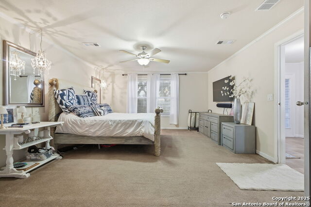 Image 42 of 51 For 18668 Bandera