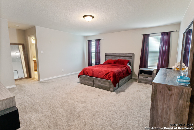 Image 8 of 14 For 3006 Old Almonte