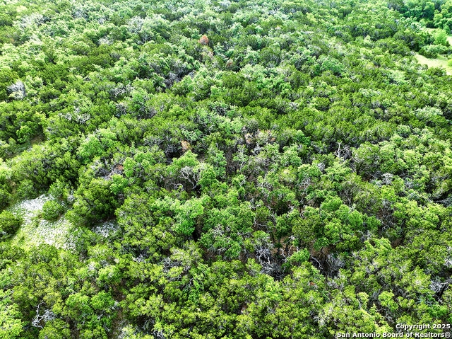 Listing photo id 7 for 1650 Rainbow Ranch S