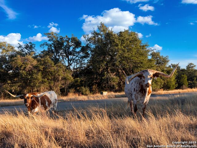 Image 39 of 68 For 577 Cattle Creek Rd