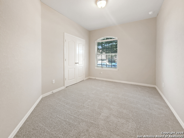 Image 4 of 16 For 335 Cylamen  