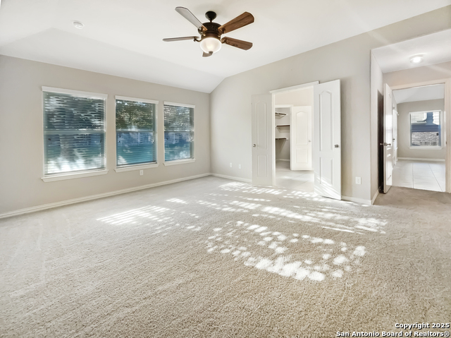 Image 8 of 16 For 335 Cylamen  