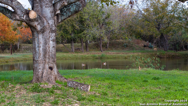 Image 25 of 36 For 3585 Pittman