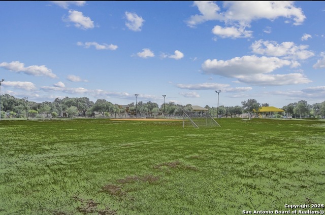 Image 32 of 34 For 1303 Lombrano St