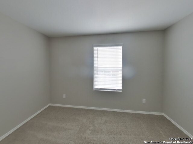 Image 10 of 20 For 1932 Bluethroat