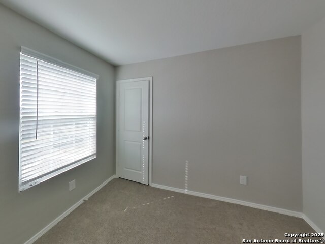 Image 12 of 20 For 1932 Bluethroat