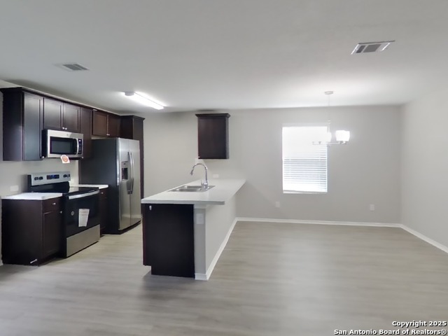 Image 4 of 20 For 1932 Bluethroat