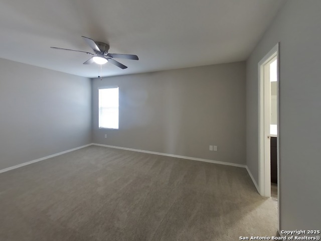 Image 6 of 20 For 1932 Bluethroat