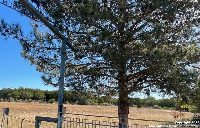 Image 14 of 15 For 190 Gunther