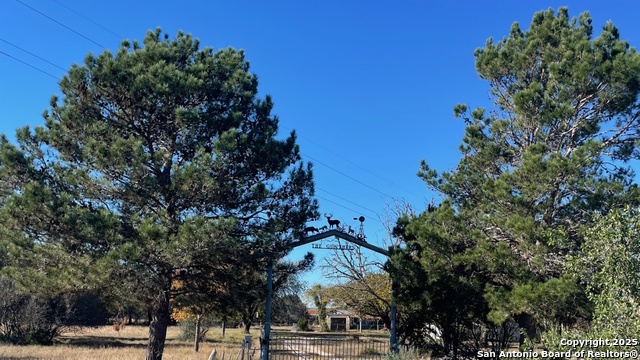 Image 2 of 15 For 190 Gunther