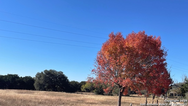 Image 4 of 15 For 190 Gunther