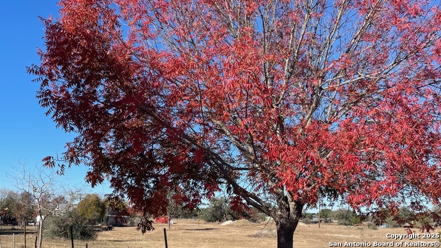 Image 5 of 15 For 190 Gunther