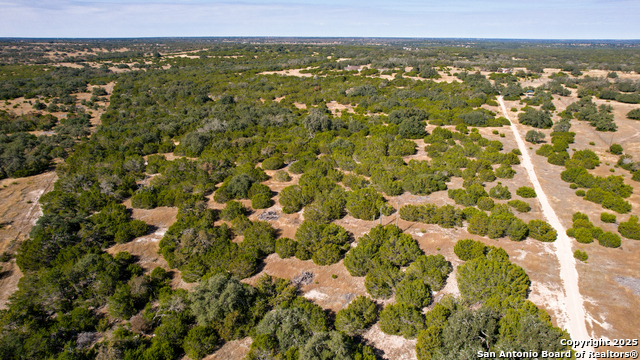 Listing photo id 26 for 425 Youngblood Trail