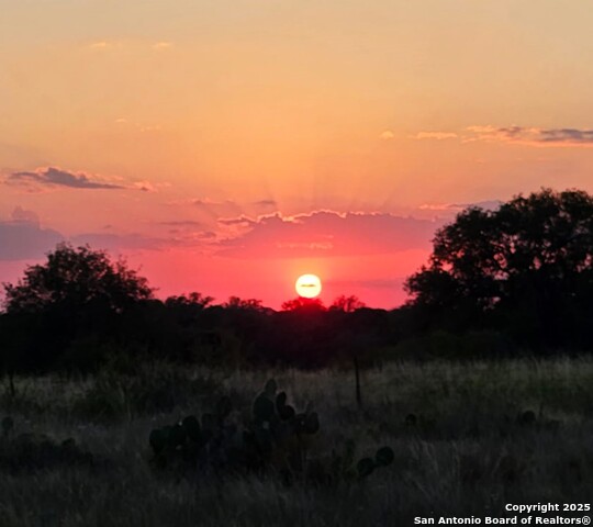 Image 25 of 26 For 22411 Savannah Hts