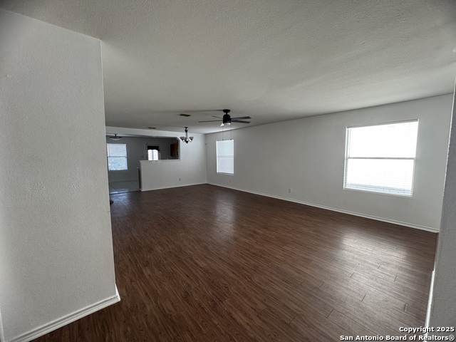 Image 16 of 27 For 25715 Gold Yarrow