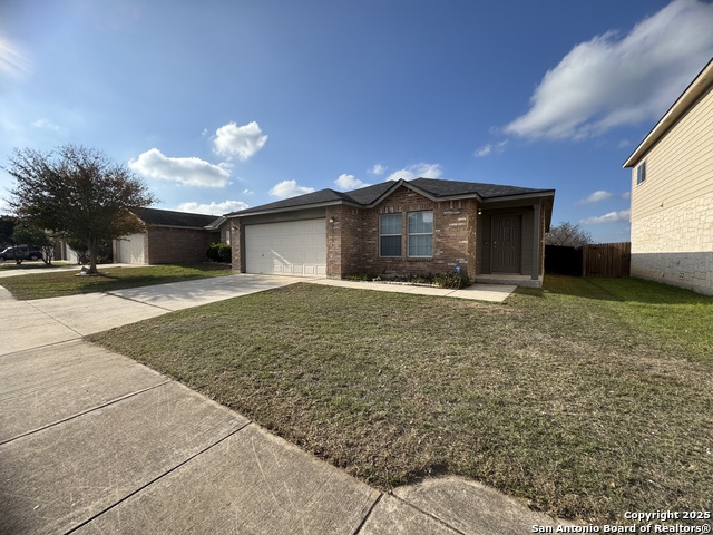 Image 2 of 27 For 25715 Gold Yarrow